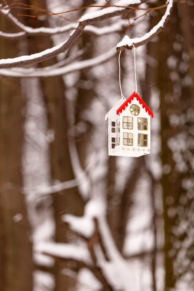 Lantern hanging on branch — Stock Photo, Image