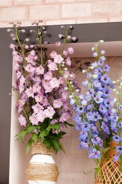 tencerede bahar çiçekleri