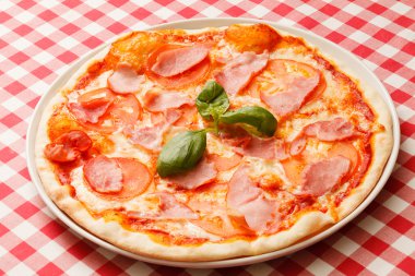 Lezzetli pizza damalı masa örtüsü üzerinde