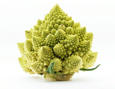 Romanesco broccoli clipart