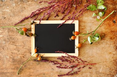 Bitkiler boş yazı tahtası ile