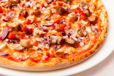 lezzetli pizza portre