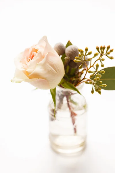 Schöne Blumen und Rose — Stockfoto