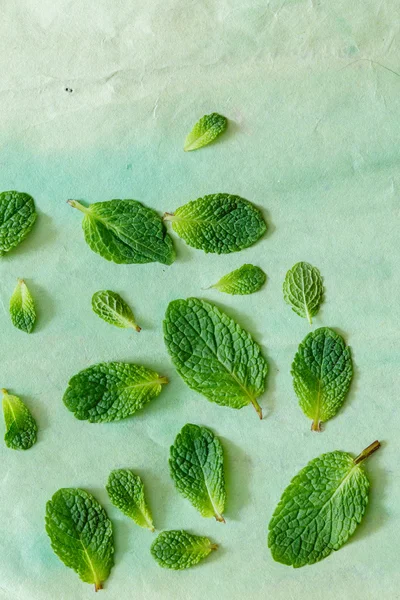 Foglie di menta fresca — Foto Stock