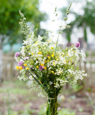 Bir buket kır çiçeği.