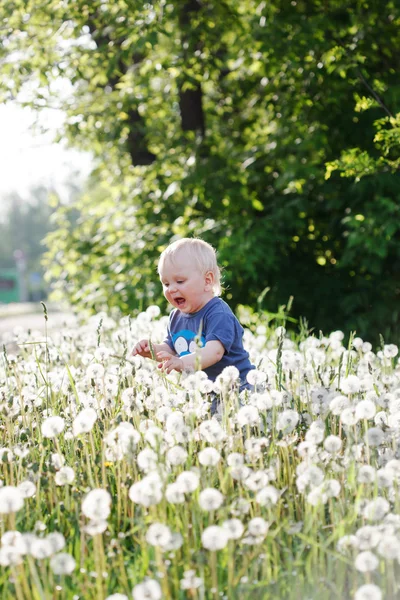 Chlapec seděl na louce — Stock fotografie