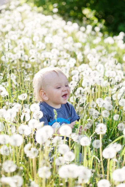Niño sentado en un prado —  Fotos de Stock