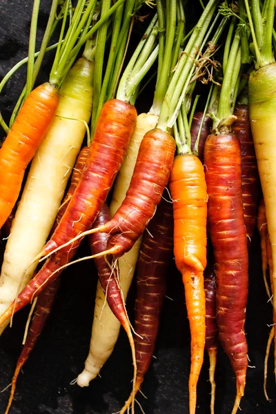 Colorful carrots — Stock Photo, Image