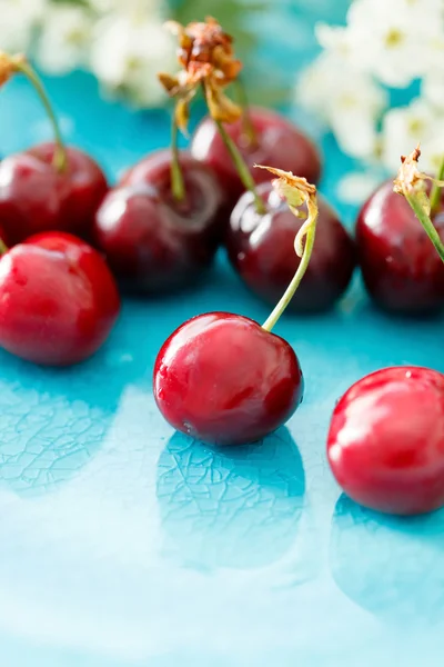 Cerises fraîches sur assiette — Photo