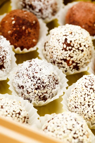 Homemade cocoa truffles — Stock Photo, Image