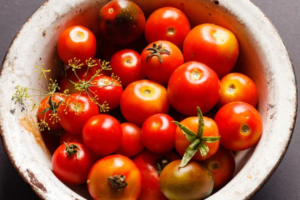 Tomates em tigela branca — Fotografia de Stock