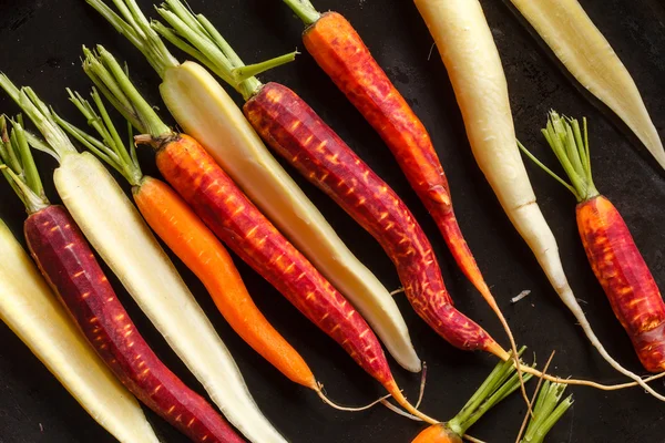 Colorful carrots — Stock Photo, Image