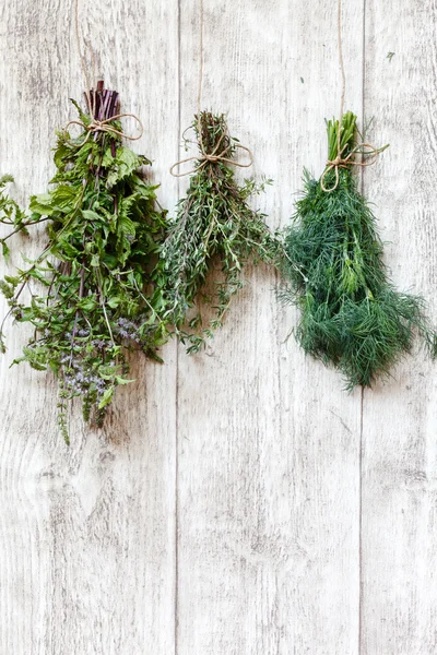 Fresh herbs hanging — Stock Photo, Image