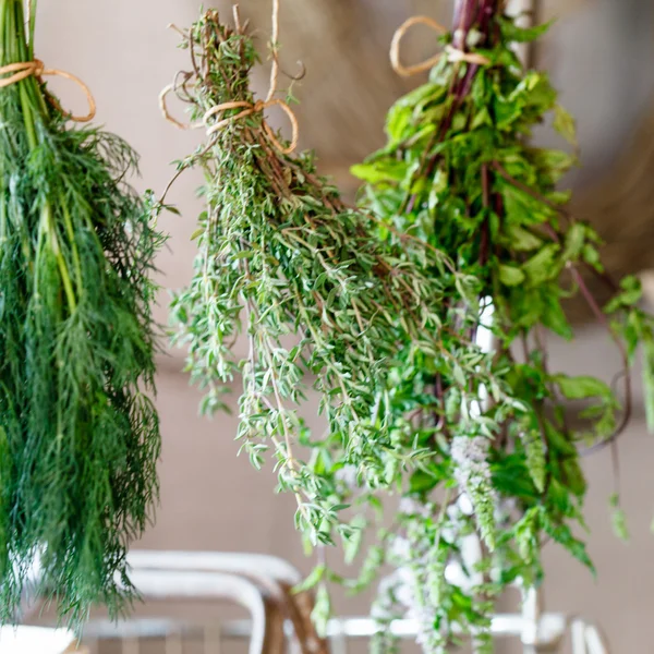 Frische Kräuter hängen — Stockfoto