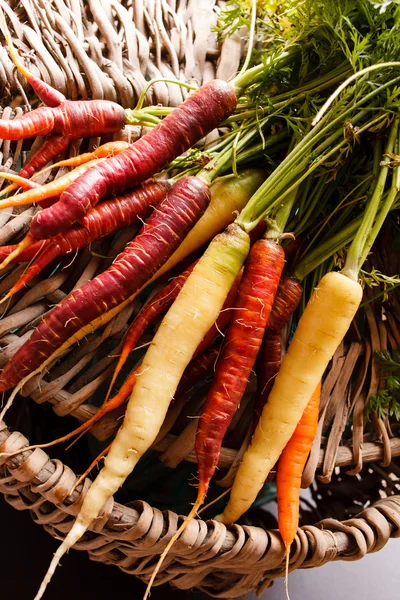 Fresh colorful carrots — Stock Photo, Image