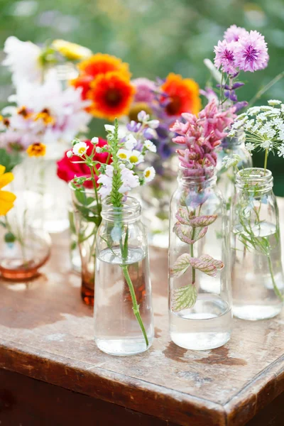 Flowers in the bottles — Stock Photo, Image