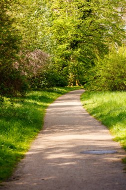 Yeşil ağaçlı bahçe