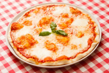 otlar ile lezzetli pizza