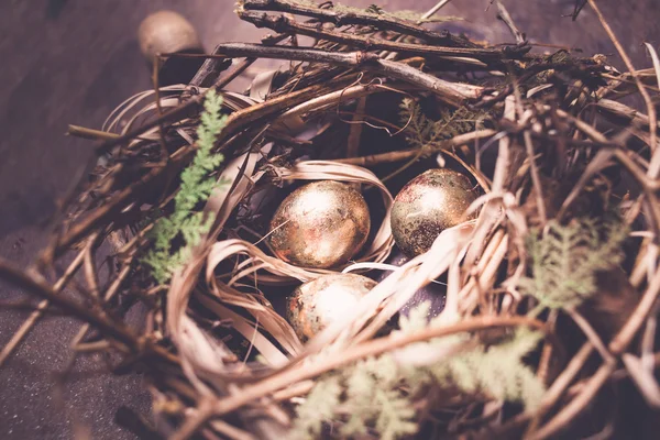Złote jaja w gnieździe — Zdjęcie stockowe