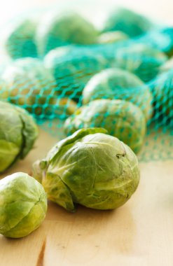 Brüksel lahanası lahana