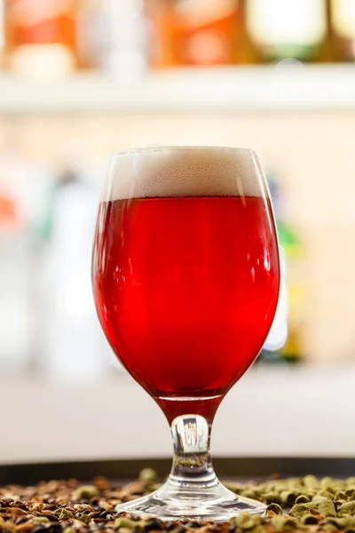 Glass of beer — Stock Photo, Image