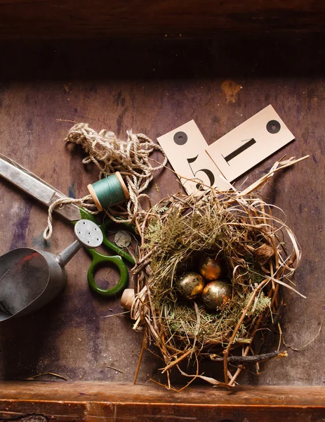 Guldägg i boet — Stockfoto