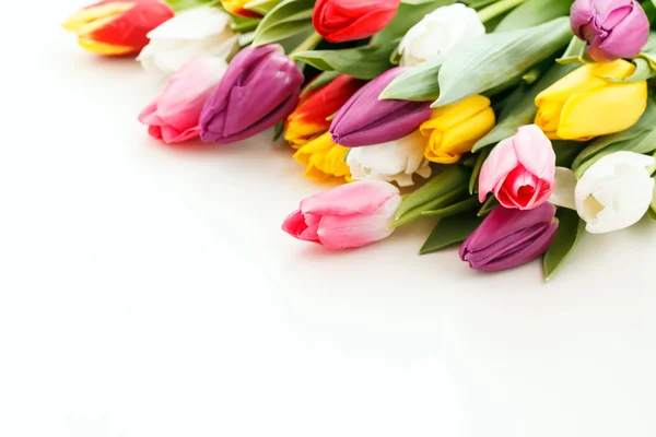 Schöner Tulpenstrauß — Stockfoto