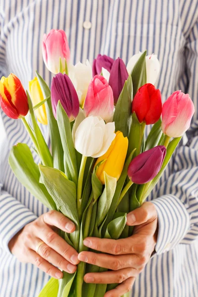 Bouquet of tulips in hands — Stock Photo, Image