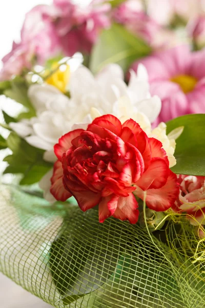 Nice pink flowers — Stock Photo, Image