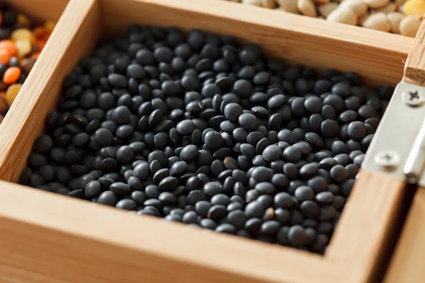 Dried black lentil — Stock Photo, Image