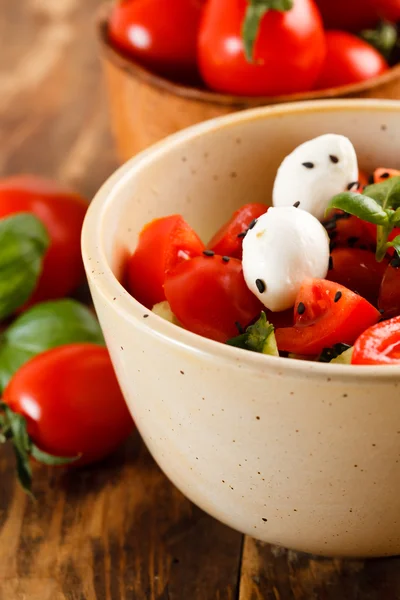 番茄和莫扎拉沙拉 — 图库照片