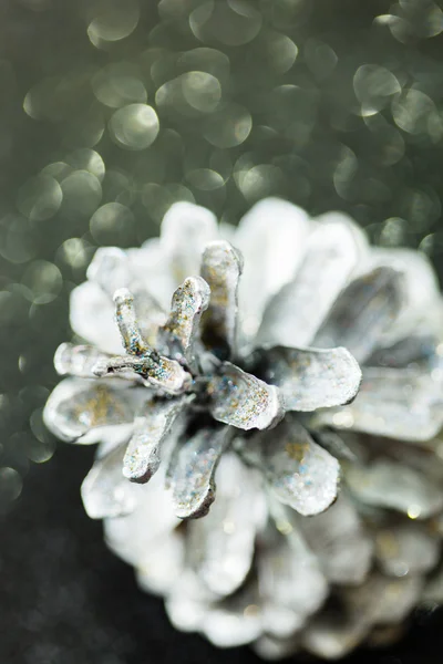 Dekorativní stříbrné kužele — Stock fotografie
