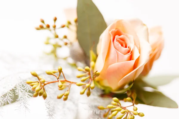 Fina blommor och rose — Stockfoto