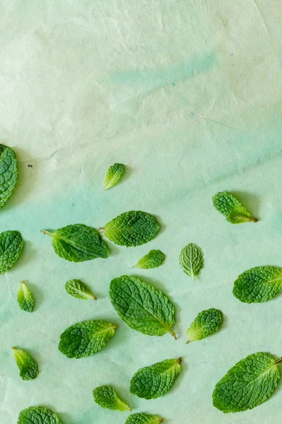 Foglie di menta su verde — Foto Stock
