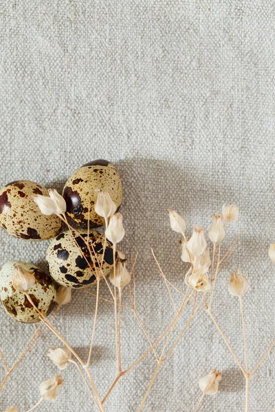 Huevos de codorniz sobre fondo textil —  Fotos de Stock