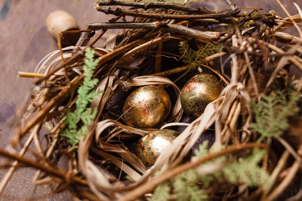 Guldägg i boet — Stockfoto