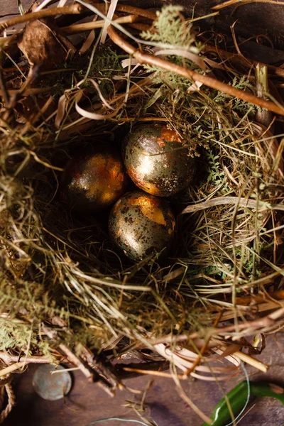 Œufs d'or dans le nid — Photo
