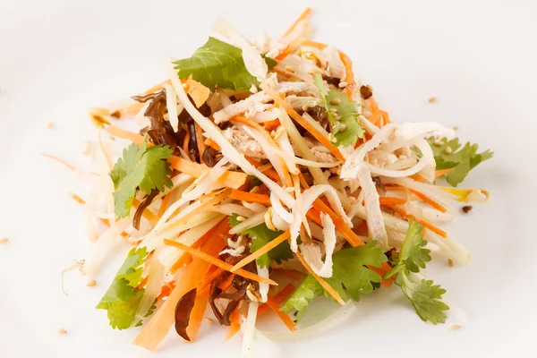 Ensalada con primer plano de pollo — Foto de Stock