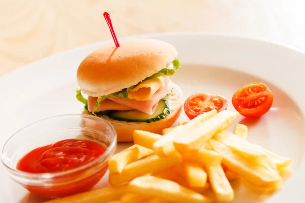 Burger with french fries — Stock Photo, Image