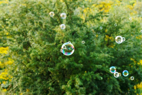 Zeepbellen in park — Stockfoto