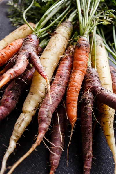 Colorful carrots on black — Stock Photo, Image