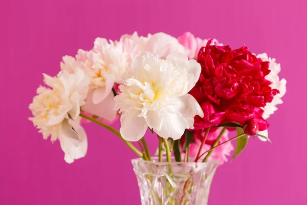 Pfingstrosenblüten in der Vase — Stockfoto