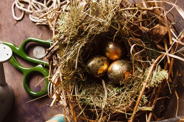 Huevos de oro en el nido —  Fotos de Stock