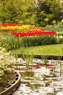 Farklı çiçekli bahçe.
