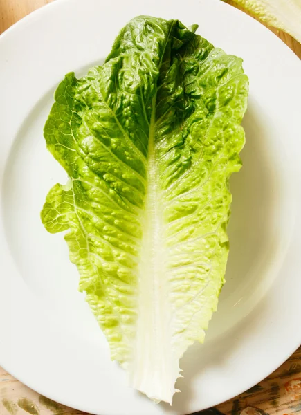 Salad leaf on  plate — Stock Photo, Image