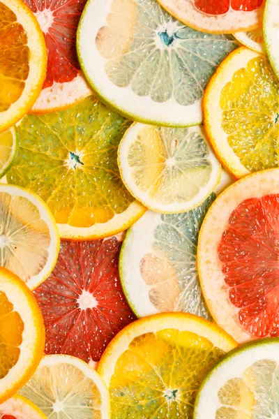Citrusfrukter skivor — Stockfoto