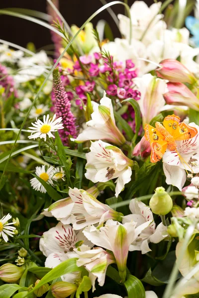 Bukett av färgglada blommor — Stockfoto