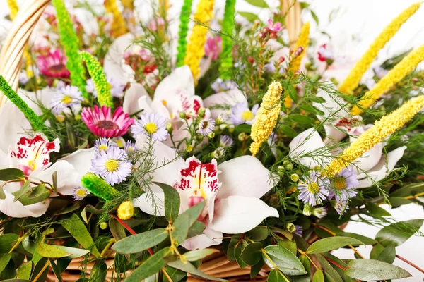 Strauß bunter Blumen — Stockfoto