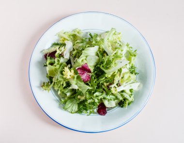 Tabakta yeşil salata