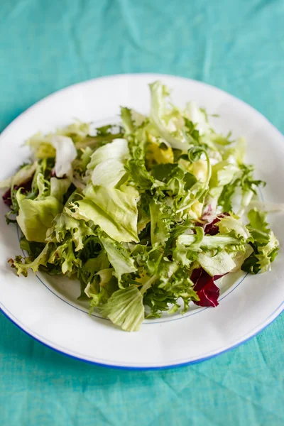 Green salad on plate — Stock Photo, Image